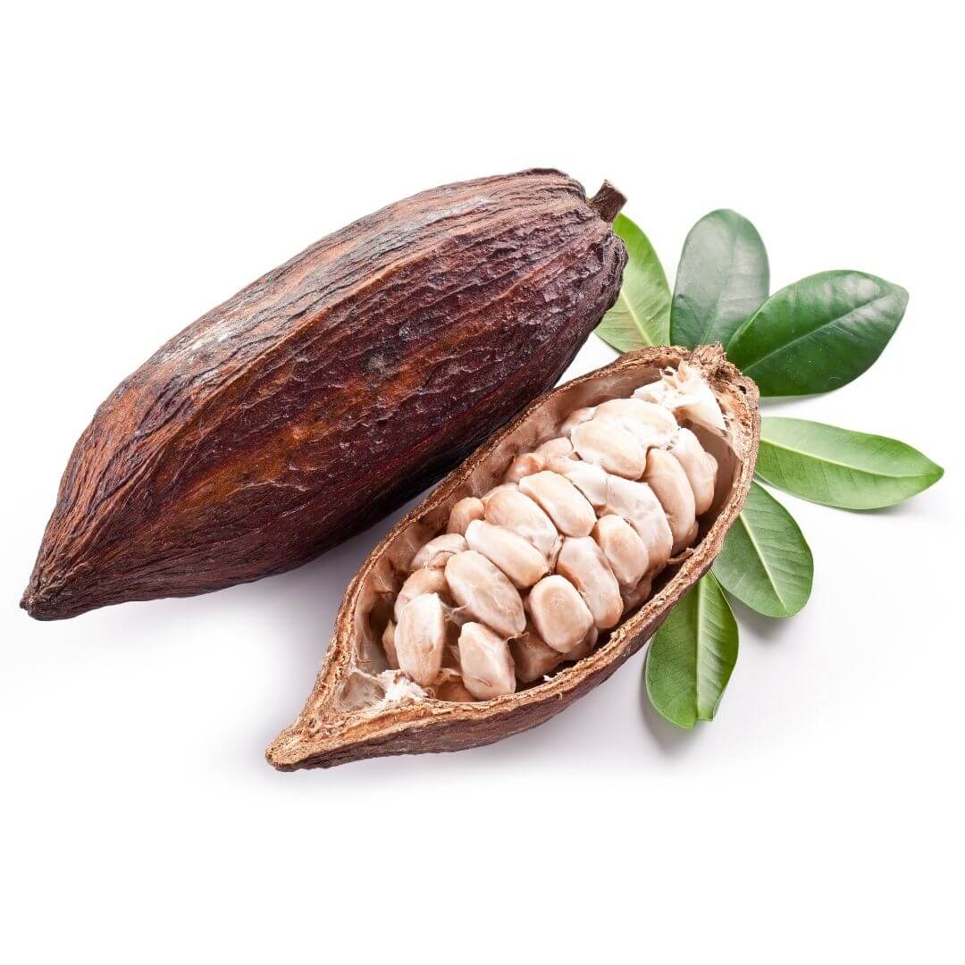 Sainderma-Cocoa-butter.jpg