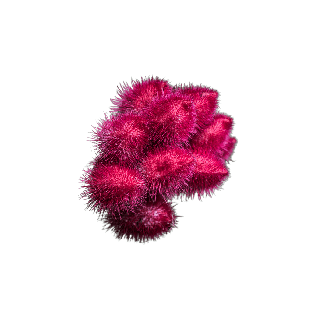 Urucum-1-COMPLETE-CARE.png